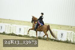 24R13_13673 thumbnail