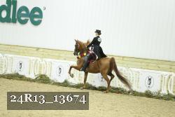 24R13_13674 thumbnail