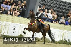 24R13_13678 thumbnail