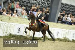 24R13_13679 thumbnail