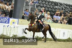 24R13_13680 thumbnail