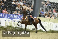 24R13_13682 thumbnail