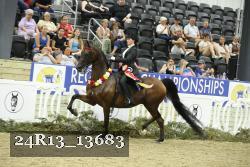24R13_13683 thumbnail