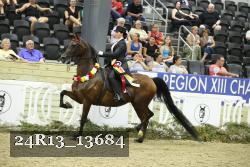 24R13_13684 thumbnail