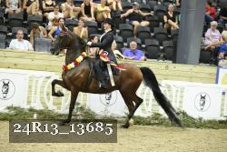 24R13_13685 thumbnail