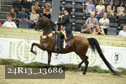24R13_13686 thumbnail