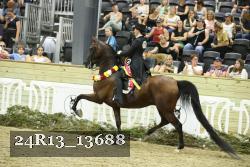 24R13_13688 thumbnail