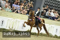24R13_13693 thumbnail