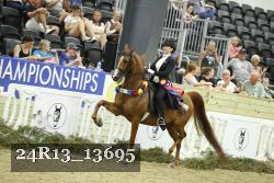 24R13_13695 thumbnail