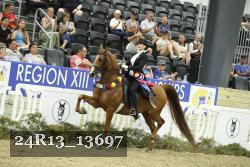 24R13_13697 thumbnail