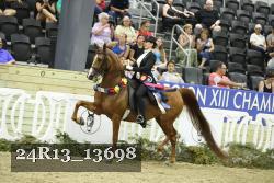 24R13_13698 thumbnail