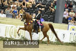24R13_13699 thumbnail