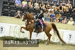 24R13_13700 thumbnail