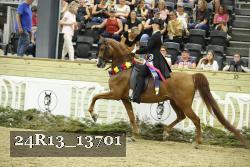 24R13_13701 thumbnail