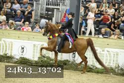 24R13_13702 thumbnail