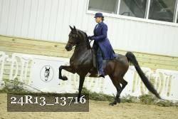 24R13_13716 thumbnail