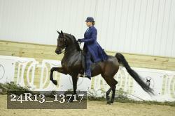 24R13_13717 thumbnail
