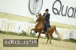 24R13_13718 thumbnail