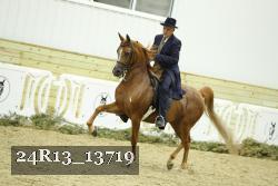 24R13_13719 thumbnail