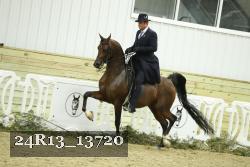 24R13_13720 thumbnail