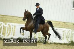 24R13_13721 thumbnail
