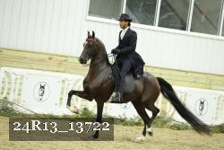 24R13_13722 thumbnail