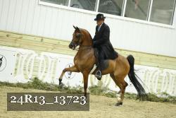 24R13_13723 thumbnail