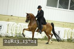 24R13_13724 thumbnail