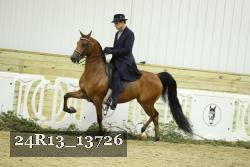 24R13_13726 thumbnail