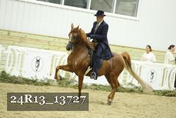 24R13_13727 thumbnail