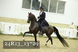 24R13_13729 thumbnail
