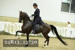24R13_13730 thumbnail