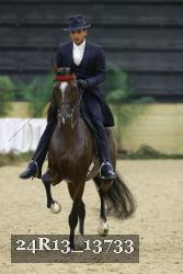 24R13_13733 thumbnail
