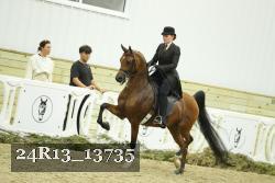 24R13_13735 thumbnail