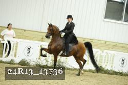 24R13_13736 thumbnail