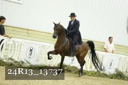 24R13_13737 thumbnail