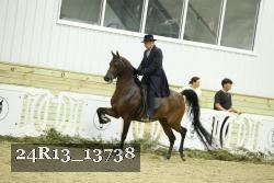 24R13_13738 thumbnail