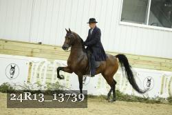 24R13_13739 thumbnail
