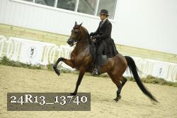 24R13_13740 thumbnail