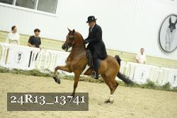 24R13_13741 thumbnail