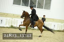 24R13_13742 thumbnail
