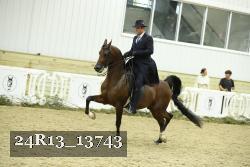 24R13_13743 thumbnail