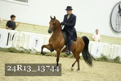24R13_13744 thumbnail