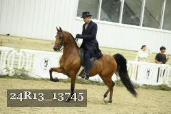 24R13_13745 thumbnail