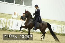 24R13_13748 thumbnail
