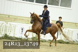 24R13_13749 thumbnail