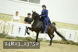 24R13_13750 thumbnail