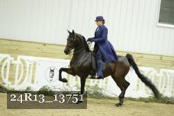 24R13_13751 thumbnail