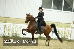 24R13_13754 thumbnail