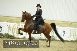 24R13_13755 thumbnail